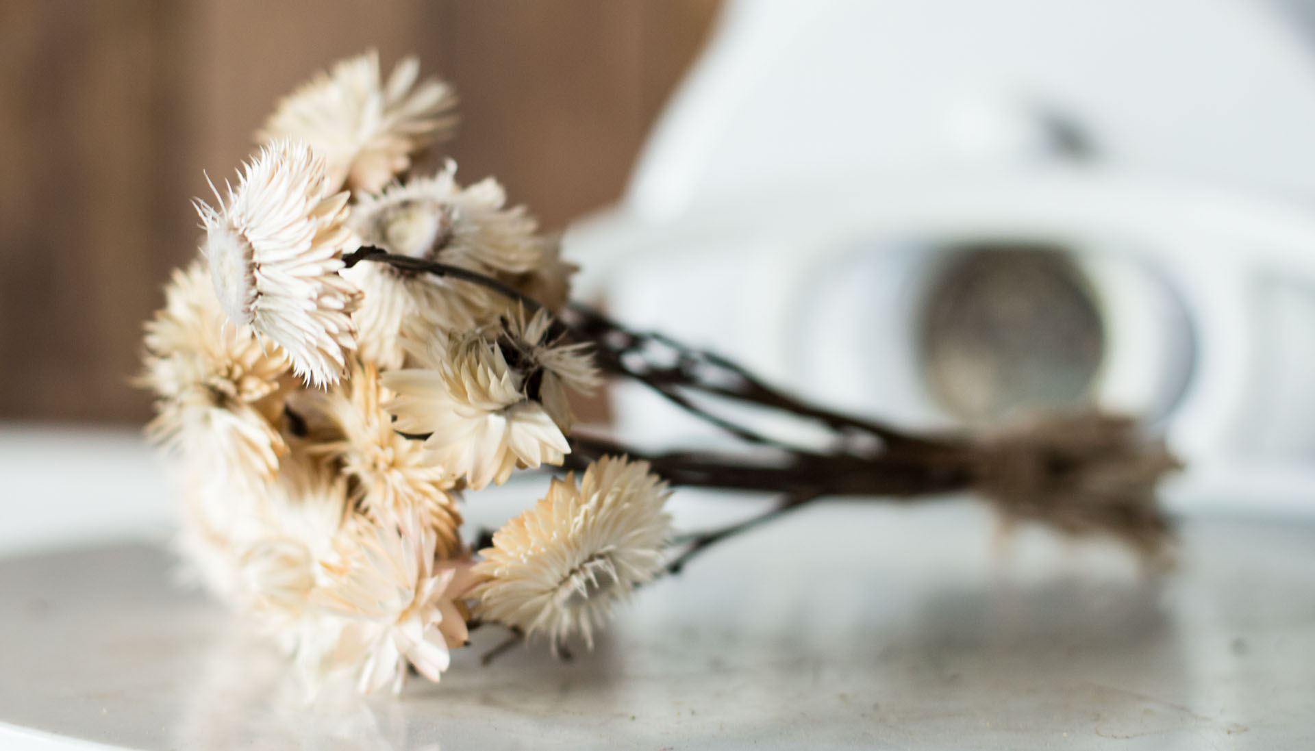 dried-flowers-lores-6