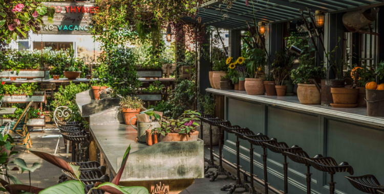 The Potting Shed | The Grounds of Alexandria