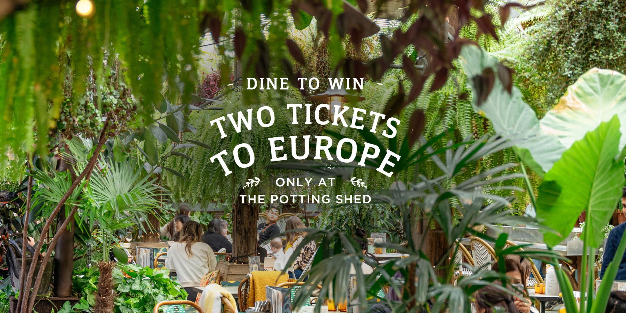 The Potting Shed | Europe Holiday
