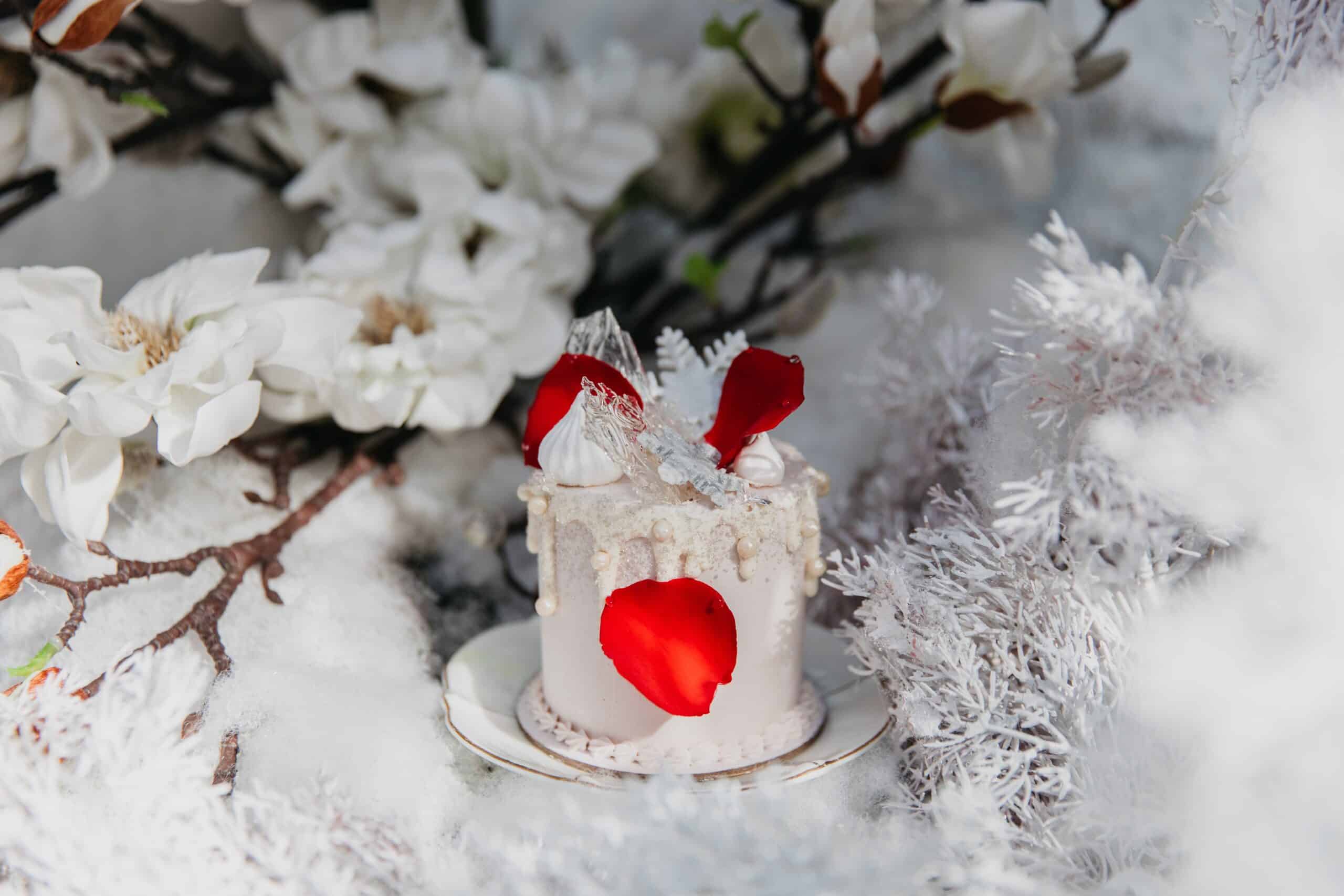 Winter Wonderland | The Grounds of Alexandria