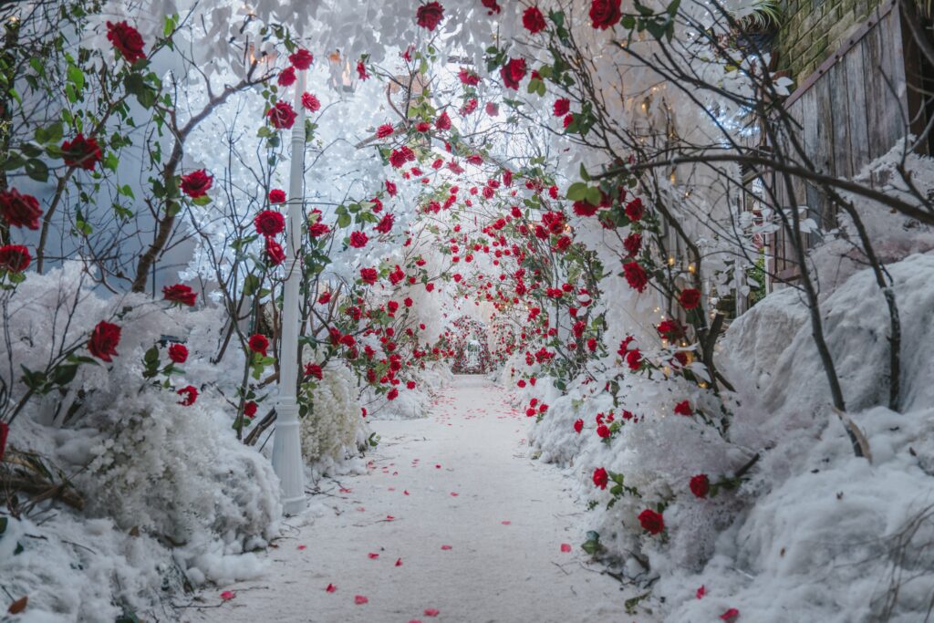 Winter Wonderland | The Grounds of Alexandria