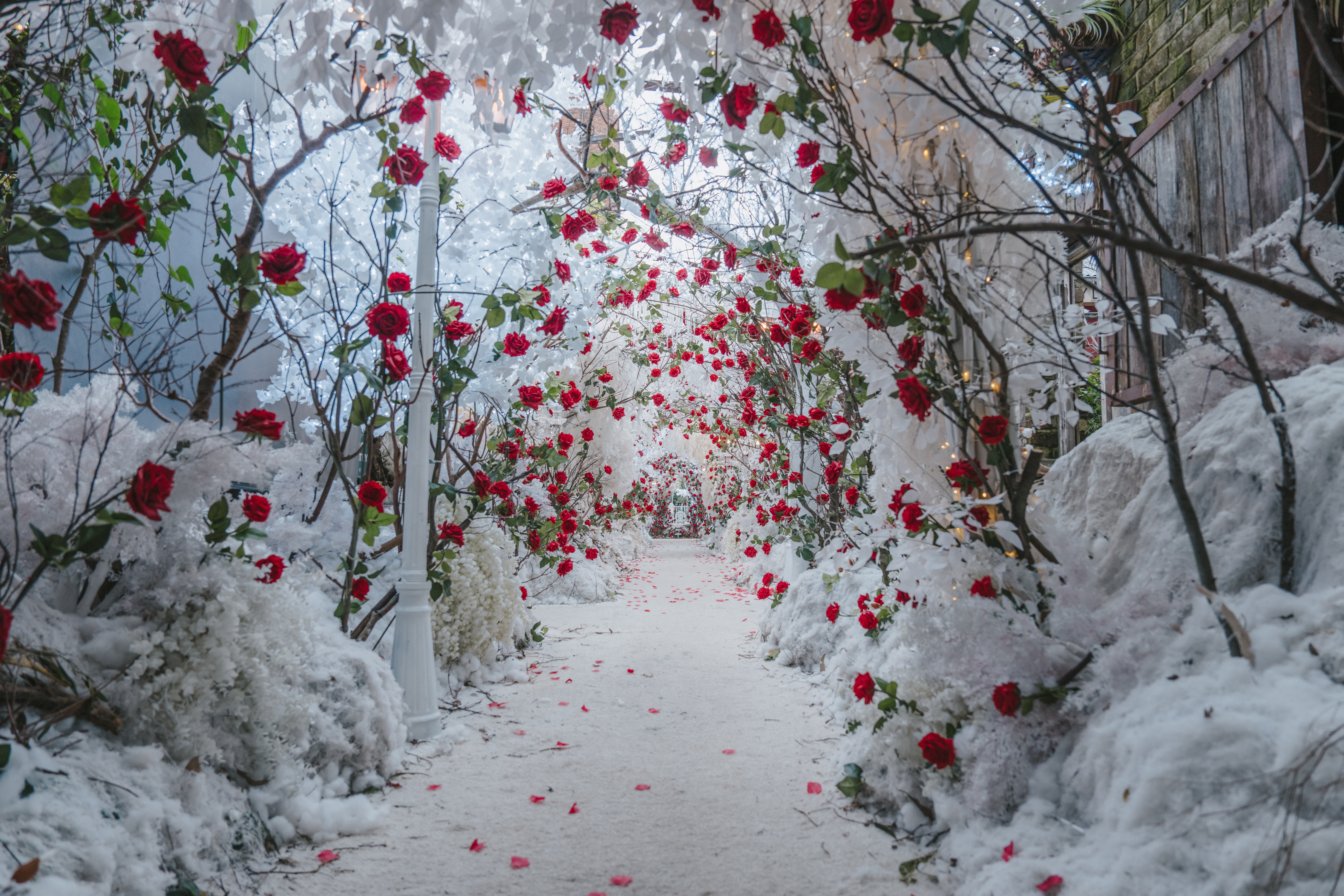 Winter Wonderland | The Grounds of Alexandria