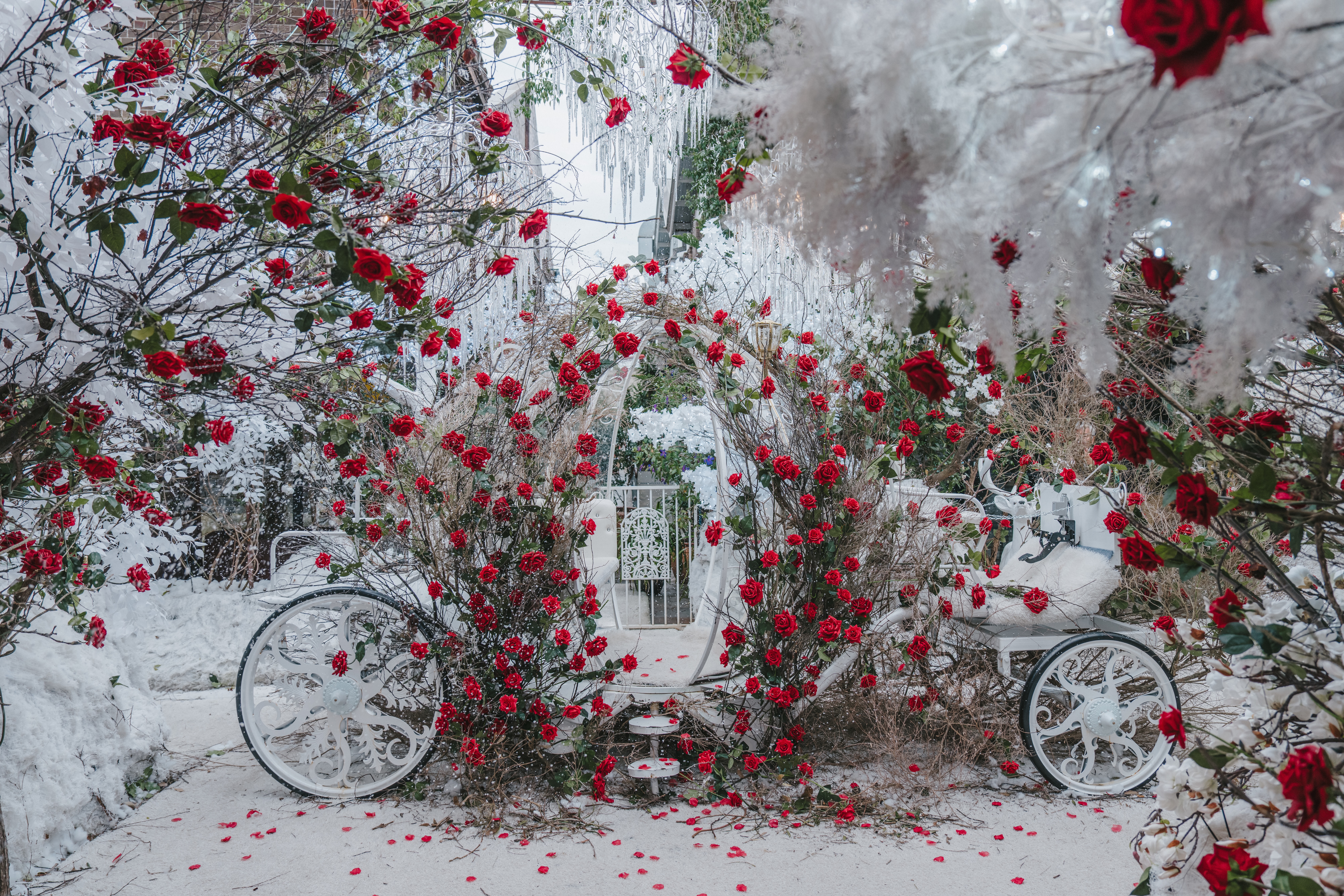 Winter Wonderland | The Grounds of Alexandria