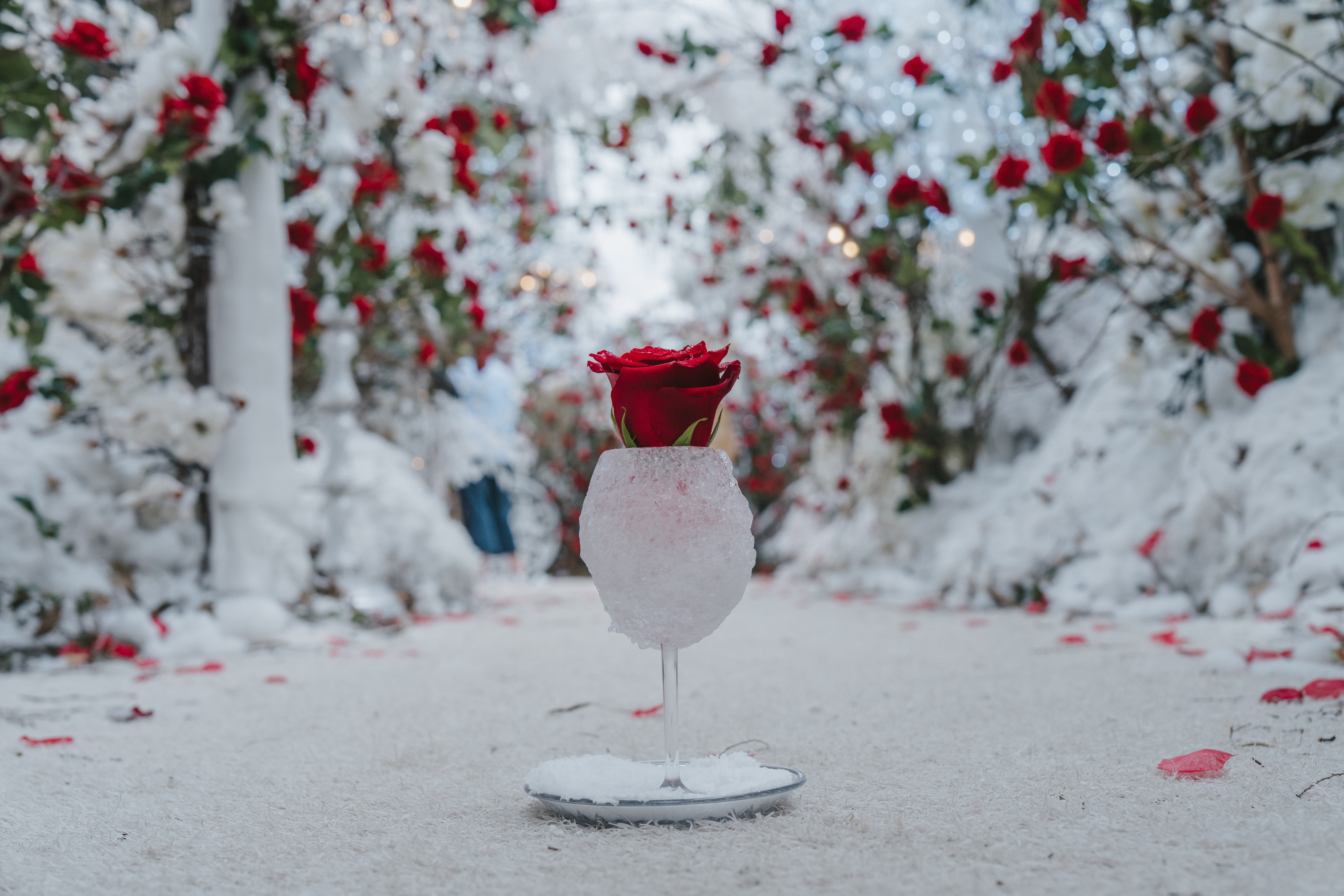 Winter Wonderland | The Grounds of Alexandria