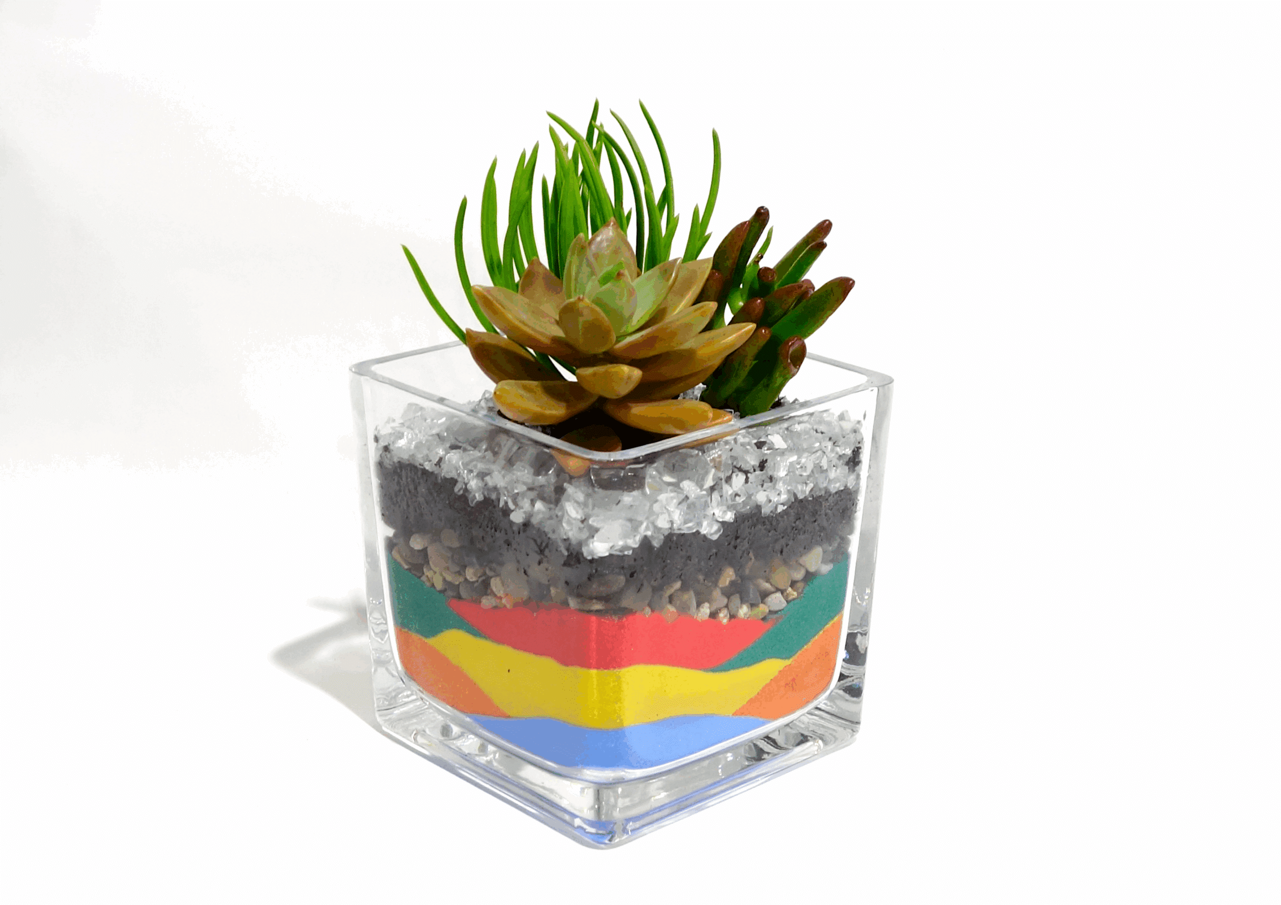 Kids' Terrarium Workshop | The Grounds Coffee Factory