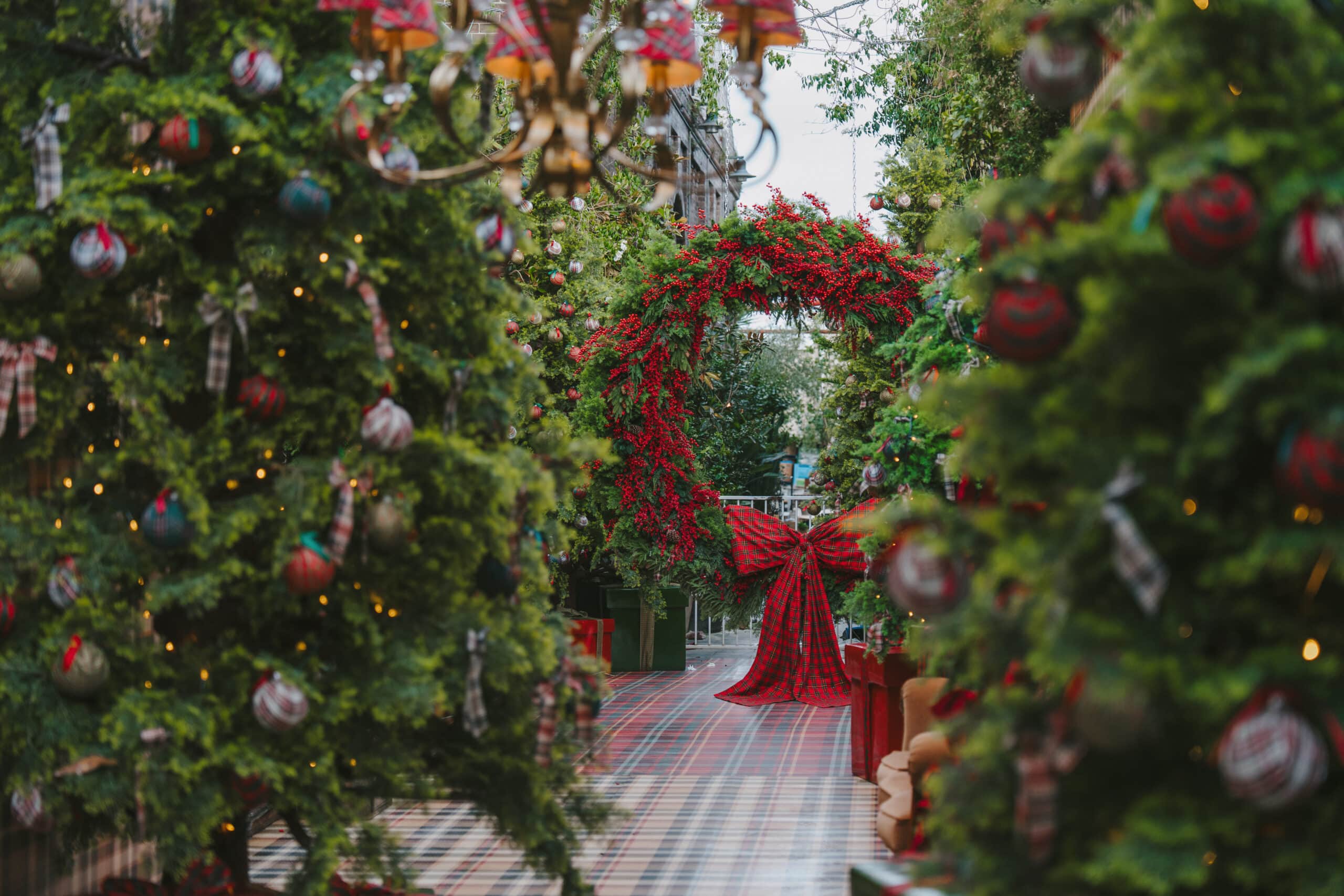 The Grounds of Alexandria | Tartan Christmas